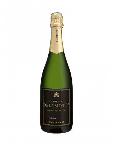 DELAMOTTE, BLANC DE BLANC COLLECTION, 2004 offre 